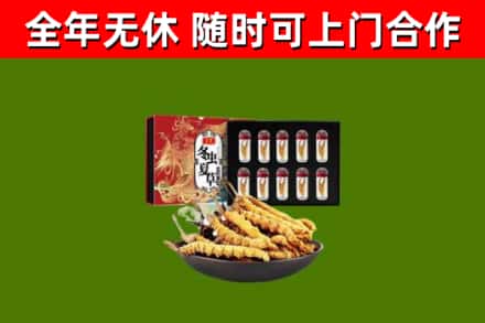松原市回收冬虫夏草价格